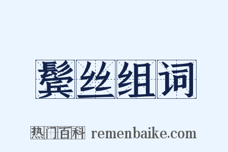 鬓丝组词是什么意思的图片